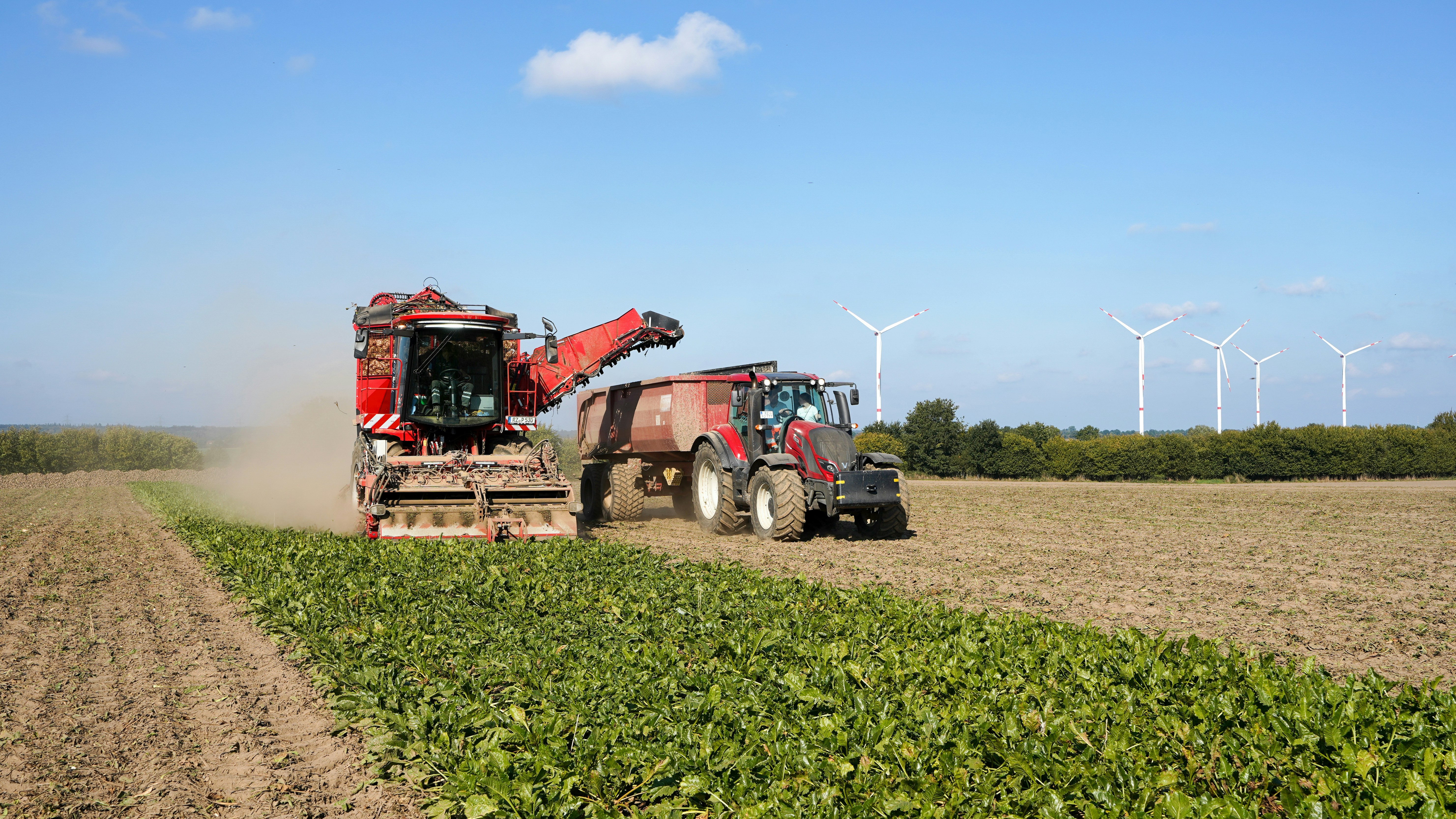 Sustainable agriculture